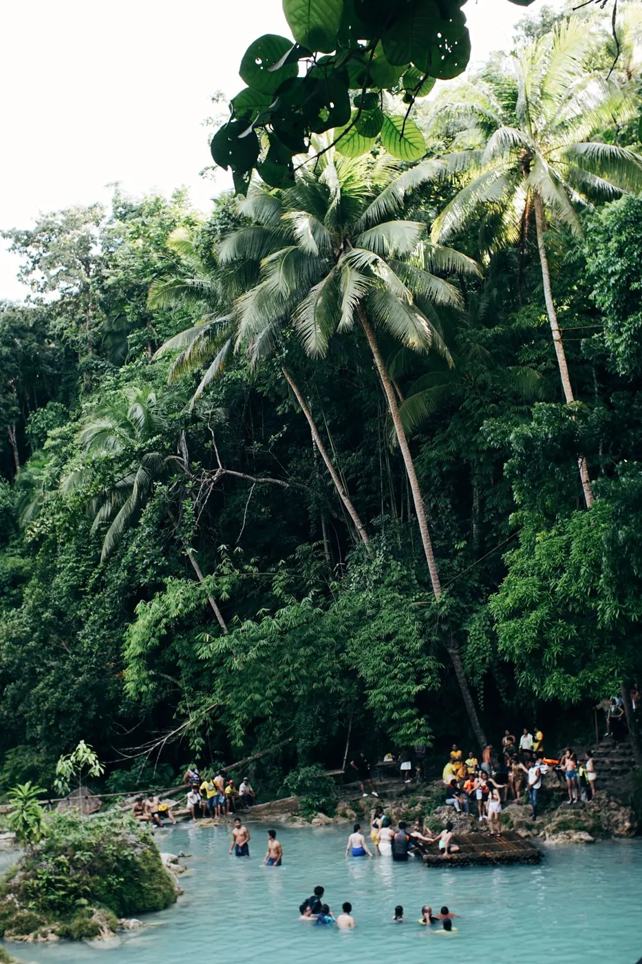 El agua y la vegetación de Siquijor.